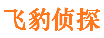 芜湖市婚姻出轨调查